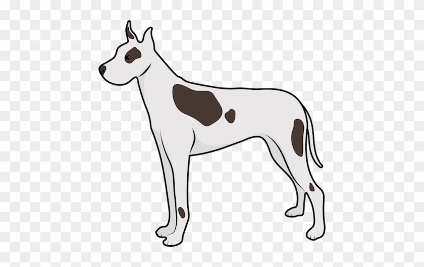 A White With Brown Great Dane Dog Standing - Old English Terrier #1717845
