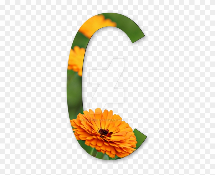 894 X 894 3 - Alphabet Flowers Png #1718809