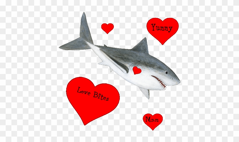 Great White Shark #1719125