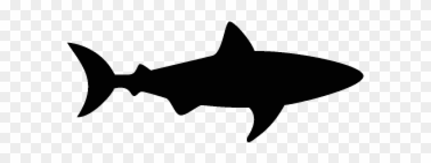 Hammerhead Shark Clipart Shark Shadow - Great White Shark Silhouette #1719133
