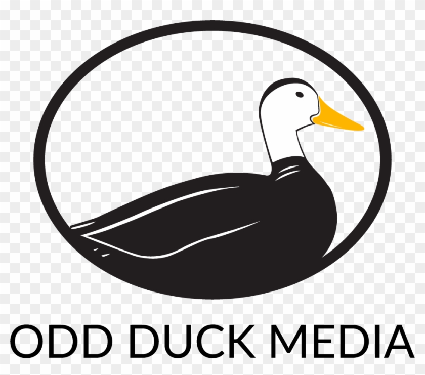 Seo Companies San Antonio - Duck #1719157