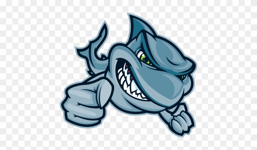 Printed Vinyl Power Stickers Factory - Decal Shark #1719166