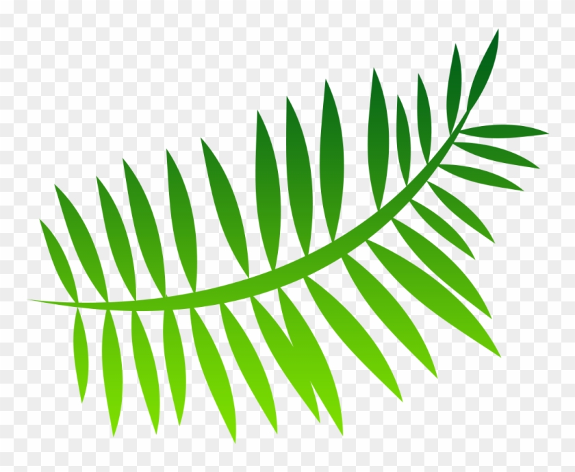 Fern Png Image - Free Transparent Ferns #1719220