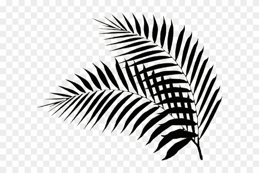 Black Palm Leaf Png #1719237