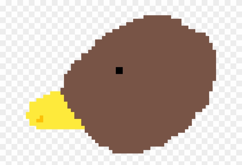 Kiwi Bird - Nuossa #1719265