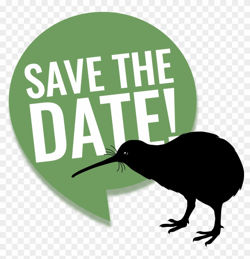 Pataua North Landcare Kiwi Release - Illustration #1719270