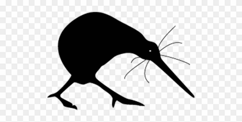 Local Kiwi Profiles - Kiwi #1719274