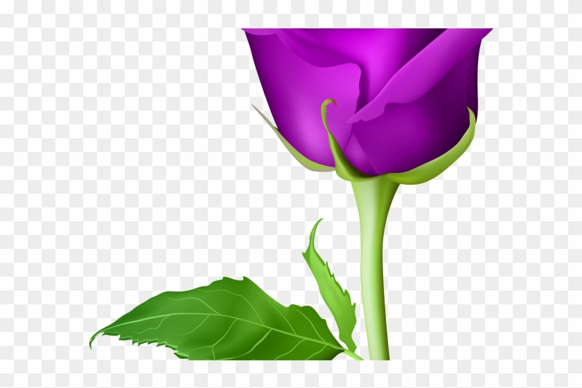 Purple Rose Clipart Purple Flower - Ross Flower Png #1719361