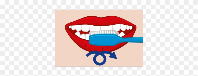 ¿cuál Es La Manera Correcta De Cepillarse Los Dientes - Right Way To Brush Teeth #1719489