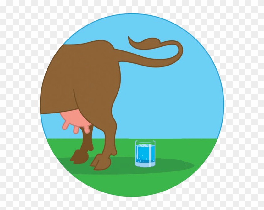 Cow Manure In Potsdam's Drinking Water - Cow Manure In Potsdam's Drinking Water #1719514