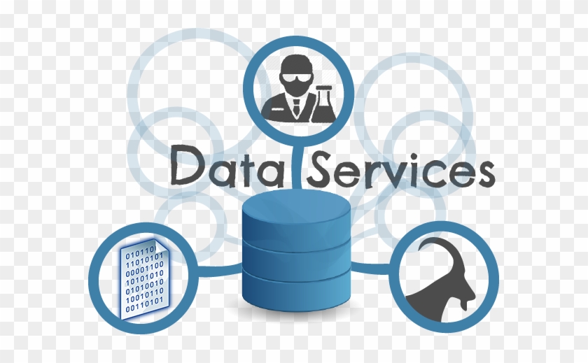 Data Services Provide The Users With Tools In Order - Data Services Provide The Users With Tools In Order #1719540