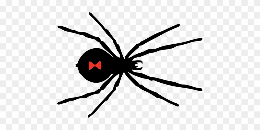 Black, Widow, Spider, Poisonous - Black Widow Spider Mark #1719878