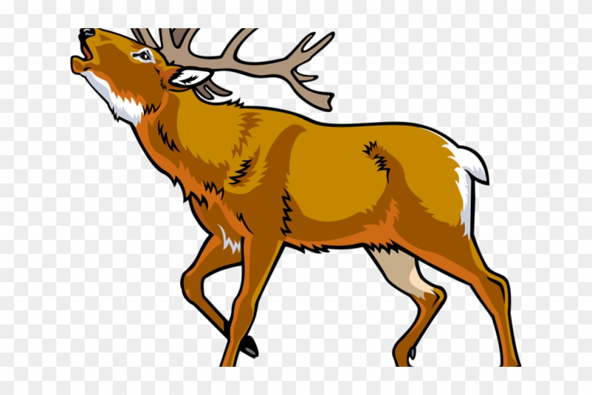 Elk Clipart Wildlife - Deer Cartoon - Free Transparent PNG Clipart Images  Download