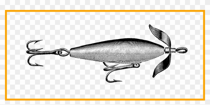 Fish Bobber Clipart Image - Coregonus Lavaretus #1720517