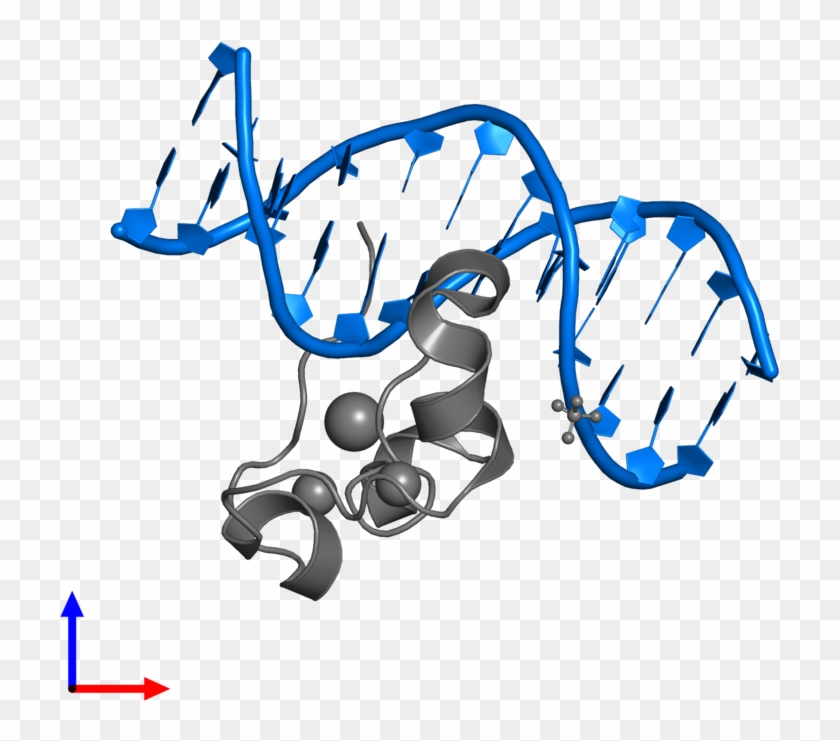 <div Class='caption-body'>pdb Entry 5w9s Contains 2 - Graphic Design #1720737