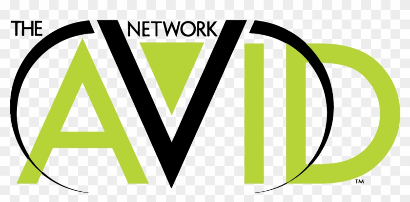 The Avid Network - The Avid Network #1720898