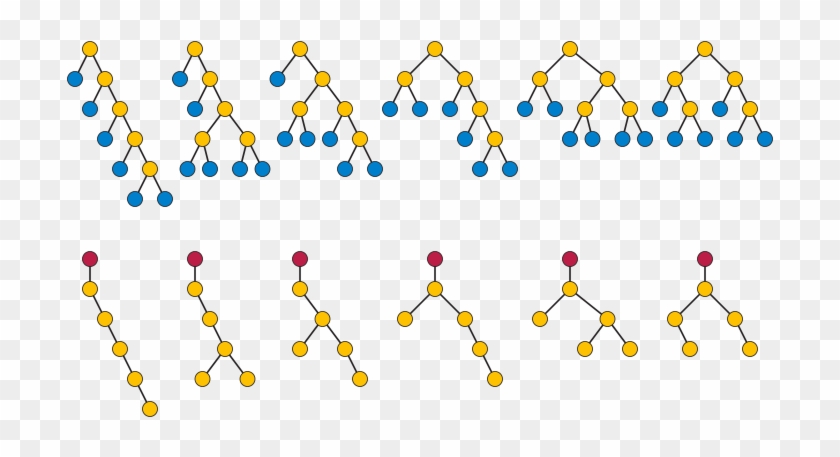 Otter Trees And Weakly Binary Trees, Two Types Of Rooted - Schraubenversetzung #1720925