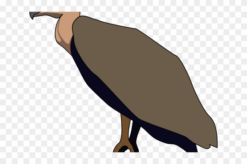 Vulture Clipart Transparent - Vulture Bird Clipart #1721088