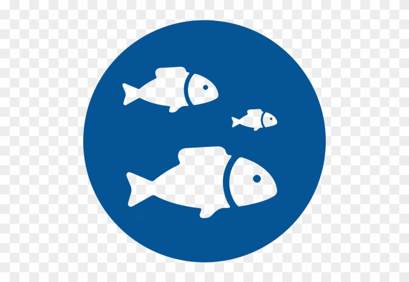 Over 200 Species Of Fish Plus Sea Turtles, Wobbegongs - Money Blue Icon Png #1721237