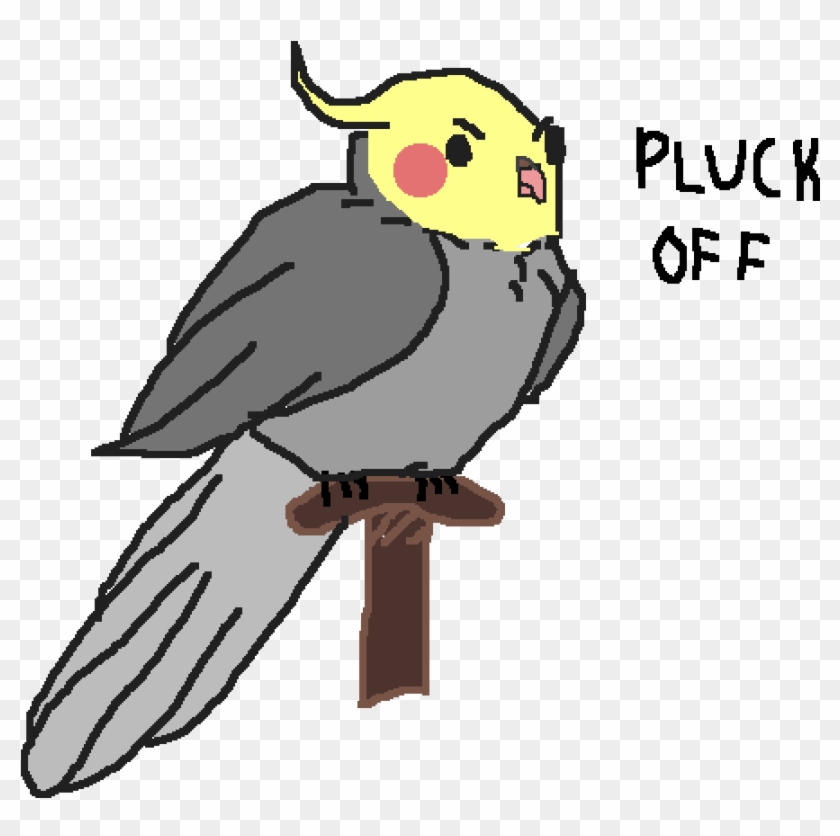 Clip Transparent Birb Drawing Cockatoo - Cockatiel #1721460