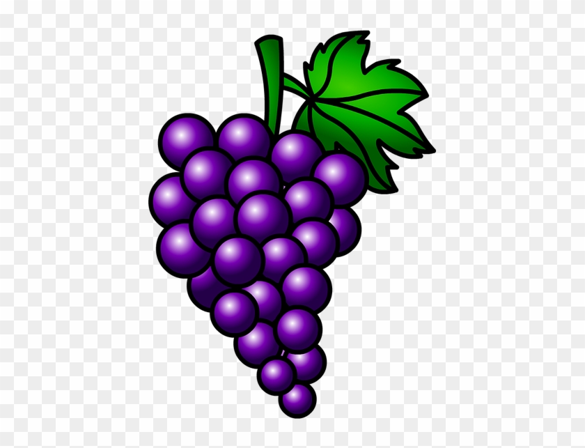 Grapes Fruit Cluster - Racimo De Uvas Moradas #1721962
