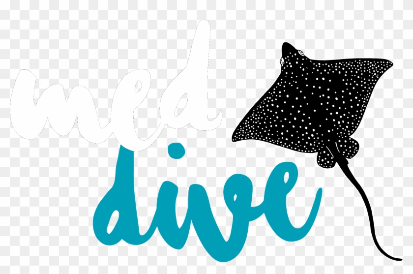 Envíanos Un E-mail - Envíanos Un E-mail #1722088