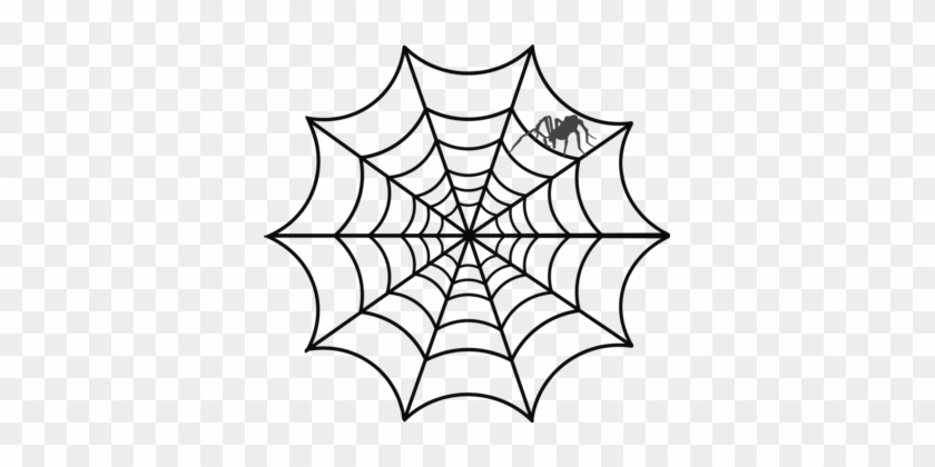 Spider Web Drawing Web Design Australian Funnel-web - Spider Web Clipart #1722337