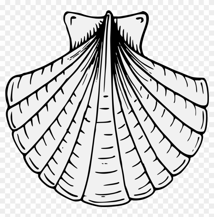 Pdf - Heraldic Scallop Shell #1722961