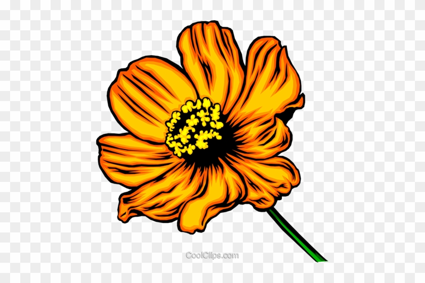 Flor Laranja Livre De Direitos Vetores Clip Art Ilustração - Fun Facts About Parts Of A Flower #1723616