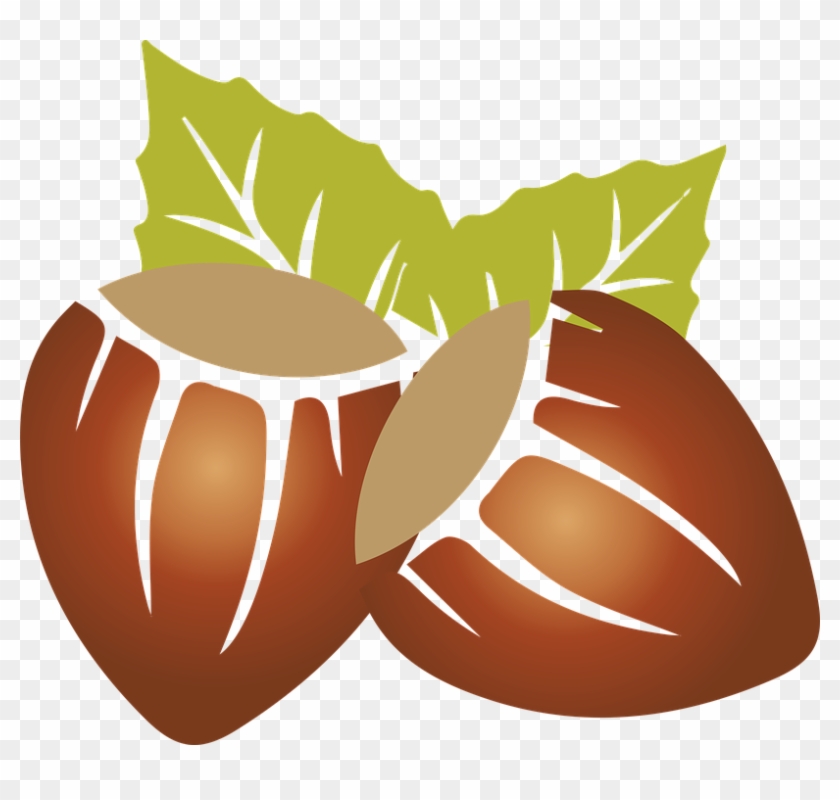 Almond Clipart Dry Fruit - Lieskový Orech Png #1723809