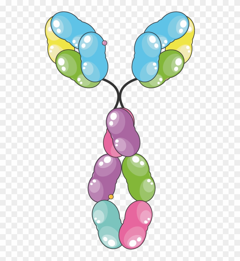 Igm - Immunoglobulin E #1723929