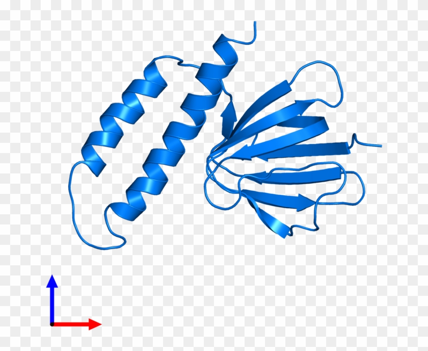 <div Class='caption-body'>pdb Entry 1bsn Contains 1 - Illustration #1724670