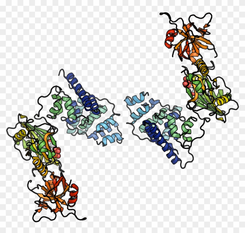 Human Dna Ligase Iv With Atp - Illustration #1724688