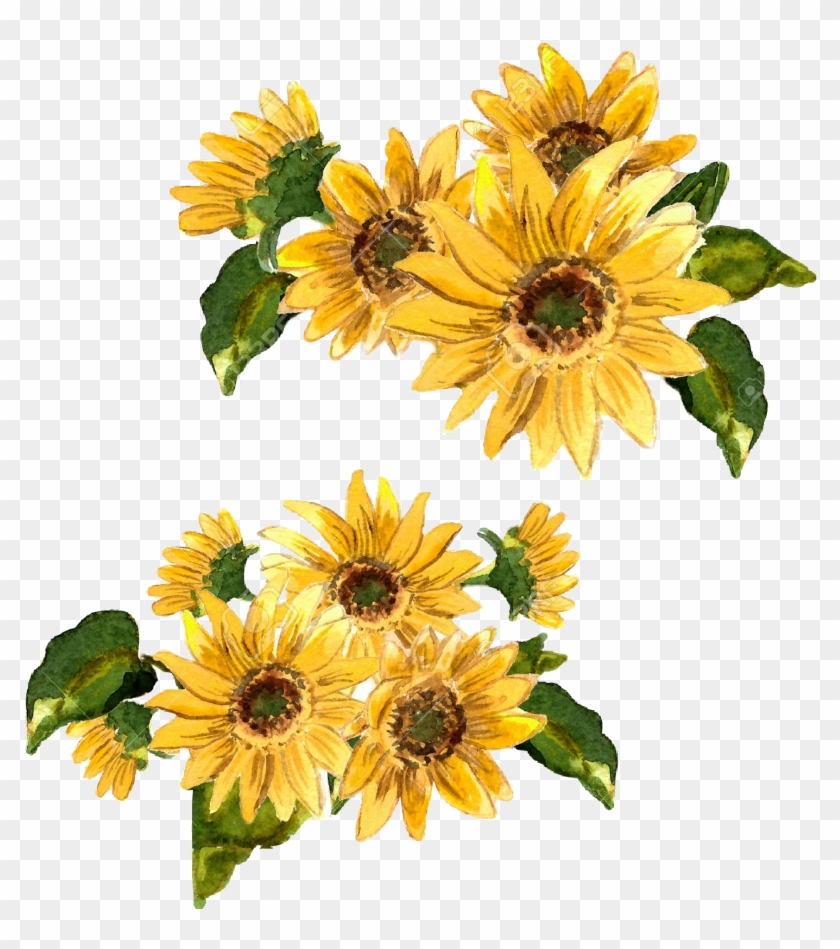 #flowers #flower #girasol #flor #amarilla #amarillo - Sunflower Banner Watercolor #1724730