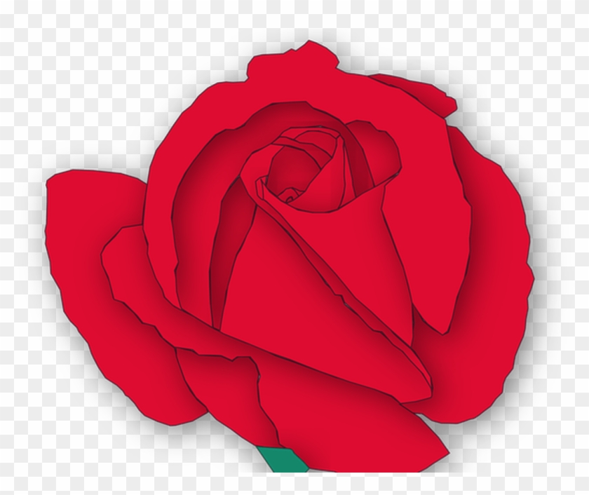 Rose Flower Flora Free Vector Graphic On Pixabay - Floribunda #1724765