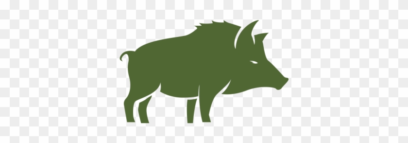 Boss Hog - Warthog #1725122