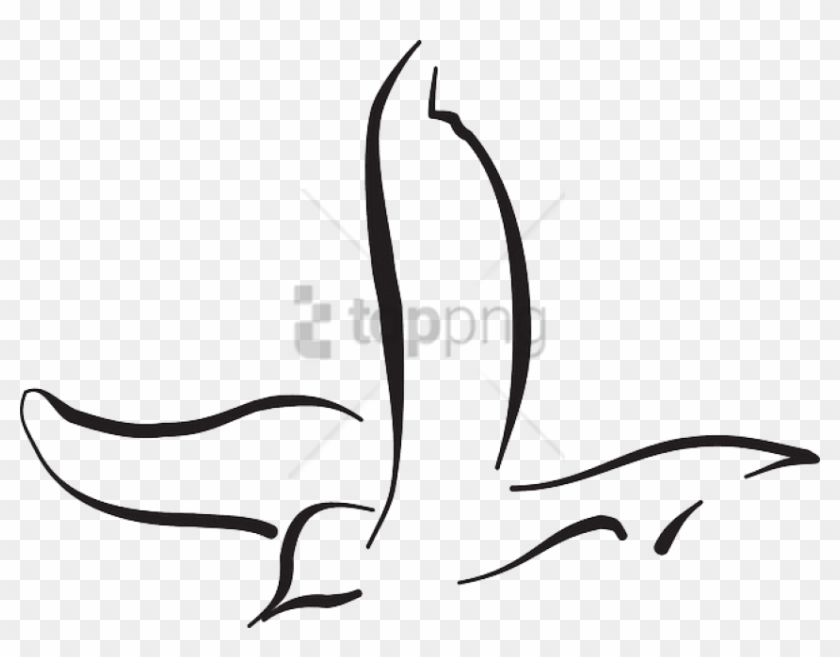 Free Png Download Flying Bird Line Drawing Png Images - Bird Vector Line Art #1725298