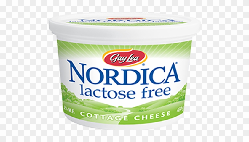 Cottage Cheese Lactose Free - Nordica Lactose Free Cottage Cheese #1725381