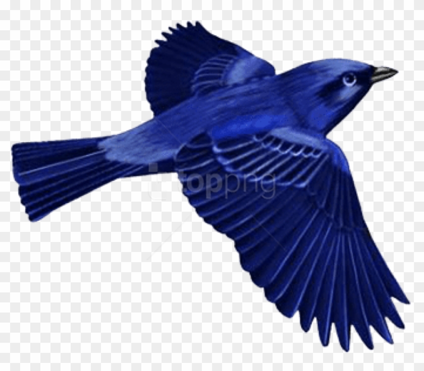 Free Download Dark Blue Bird Clip Art Images Background - Dark Blue Bird Png #1725604