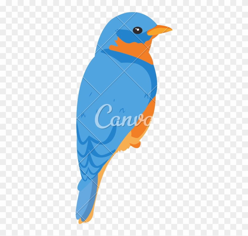 Beauty Bird Animal With Wings And Feathers - Eastern Bluebird #1725607
