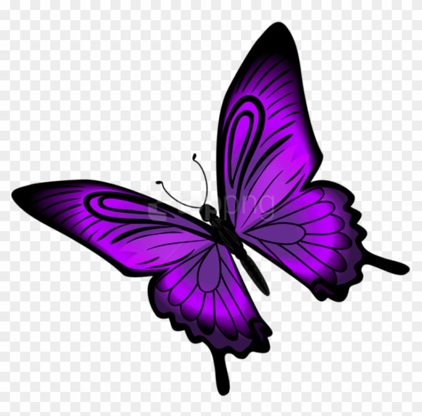 Free Png Download Purple Butterfly Png Clipart Png - Clip Art Purple Butterfly #1725813