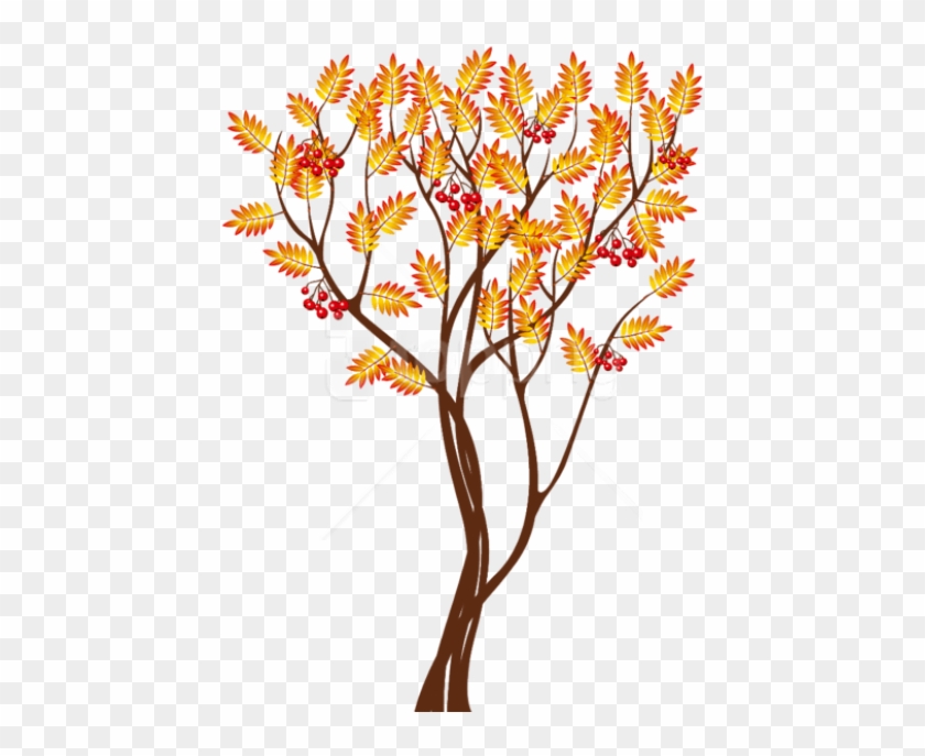 Free Png Download Transparent Autumn Tree Png Images - Autumn Tree Drawing Png #1725890