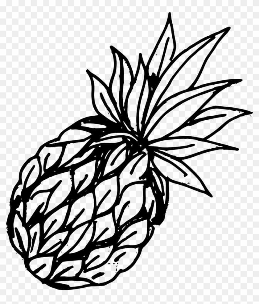 Crayon Drawing Pineapple - Png Vintage Pineapple Drawing #1726091
