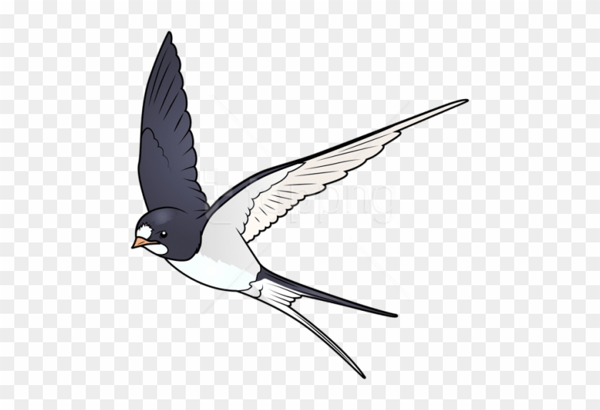 Free Png Download Cartoon Bird Clipart Png Photo Png - Flying Cartoon Bird Transparent #1726119