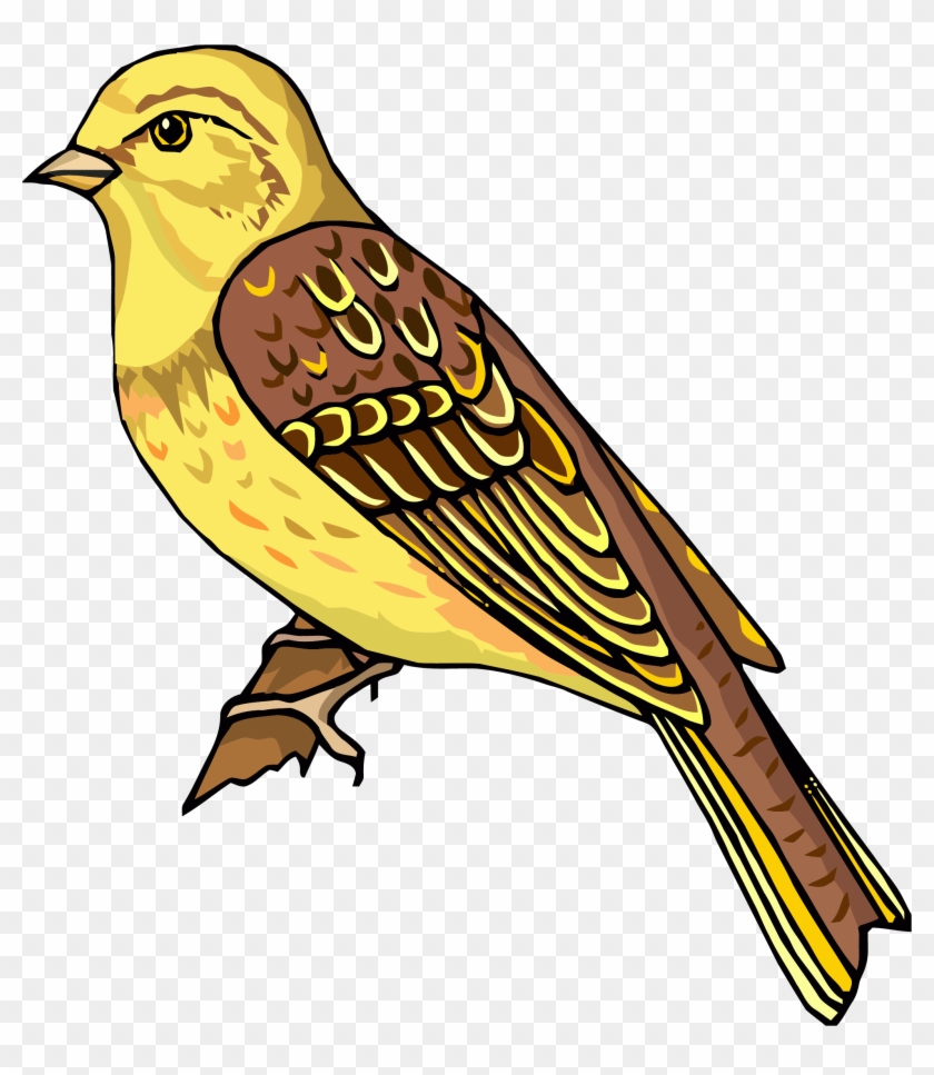 Staying Realistic Bird Clipart Png - Clipart Pictures Of Bird #1726236