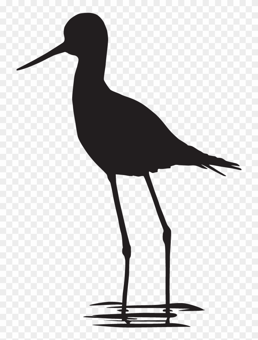 Black-necked Stilt - Black Necked Stilt Silhouette #1726493