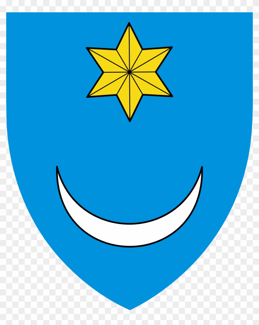 Targu Mures Historical Society - Croatia Coat Of Arms Star #1726816