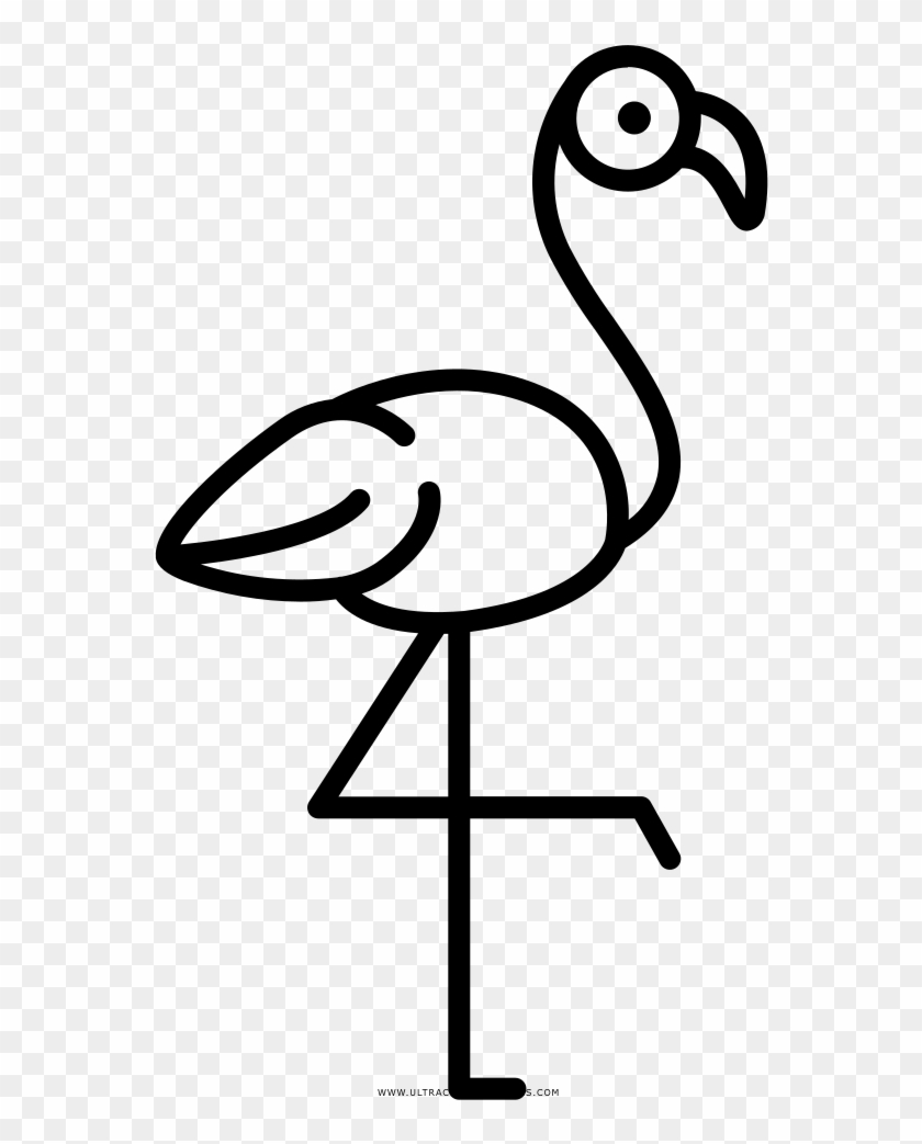Pink Coloring Pages With Last Minute Flamingo Page - Imagenes Blanco Y Negro Flamenco #1726939