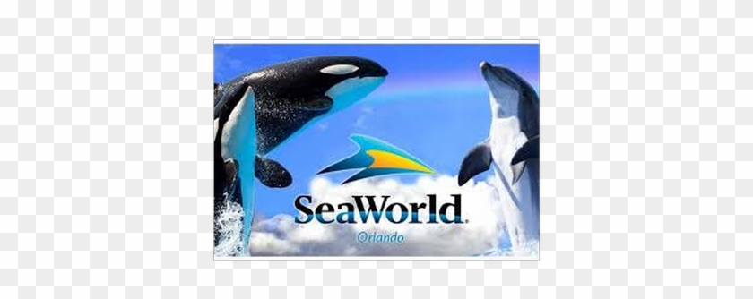 Seaworld Orlando - Sea World Orlando #1726946