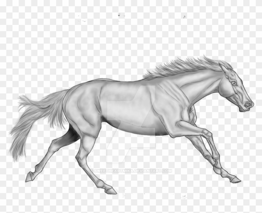 Greyscale By Sweetheartmika On Deviantart - Stallion #1727219